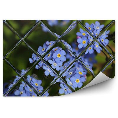 Fototapeta Fialové květy zahrada pohled z okna