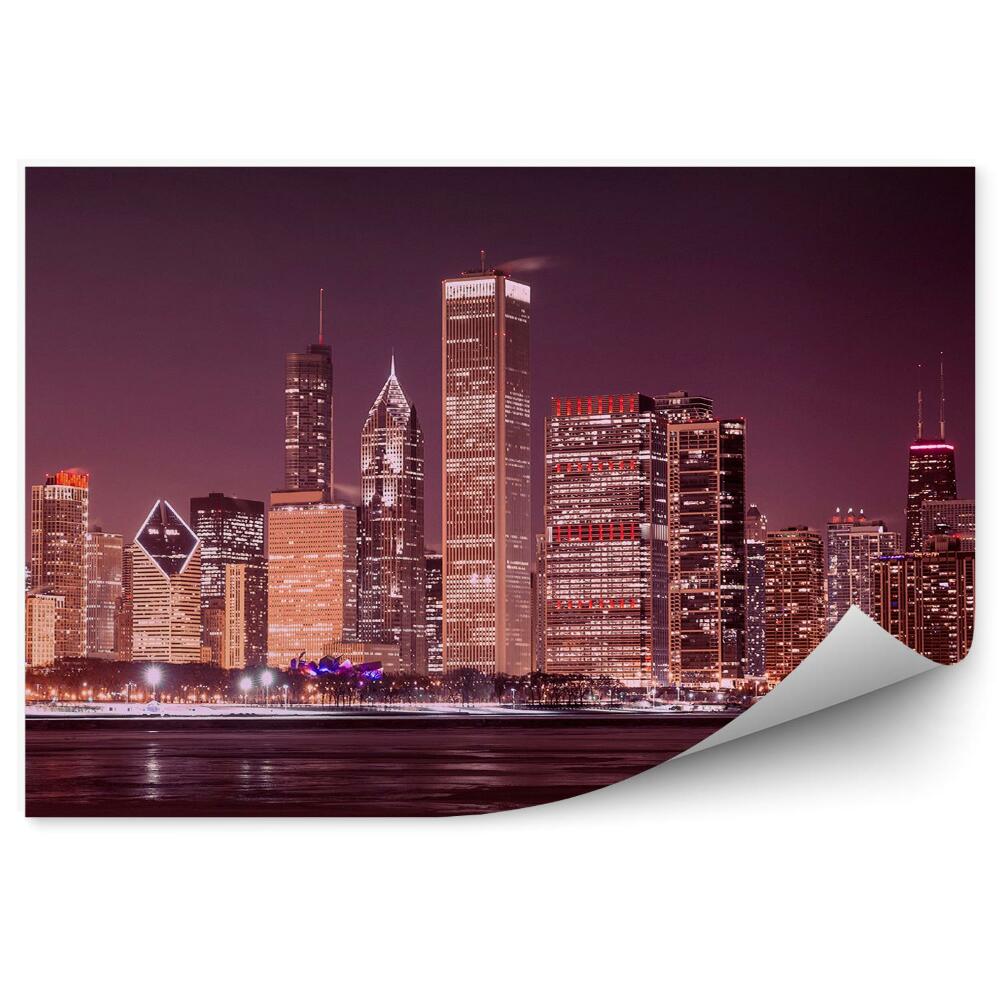 Fototapeta Mrakodrapy stromy oceán tráva Chicago nebe
