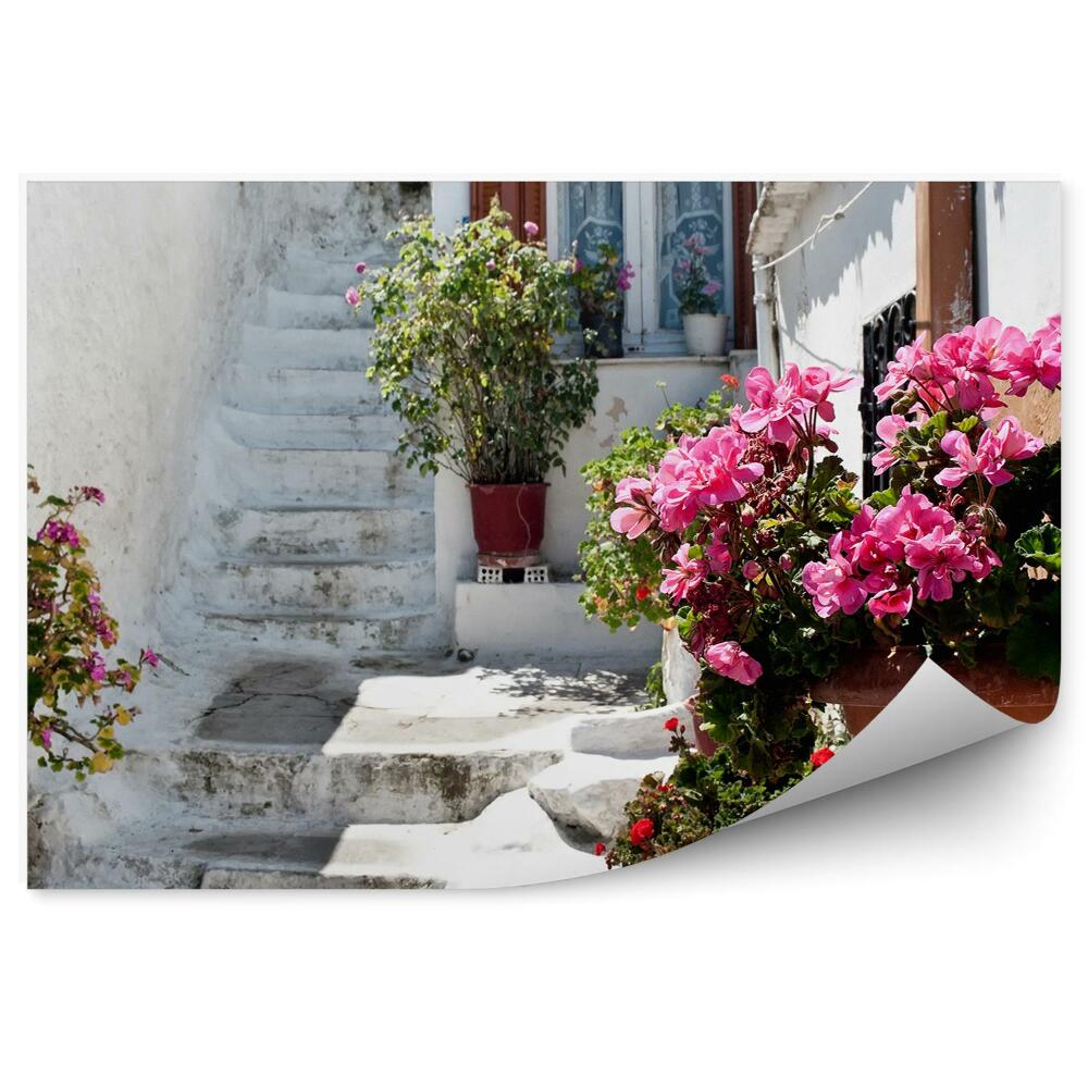 Samolepící fototapeta Květiny hrnkové rostliny příroda bílá ulice