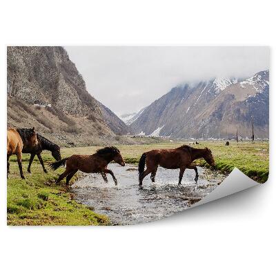 Fototapeta Hory stádo koní řeka tráva sníh