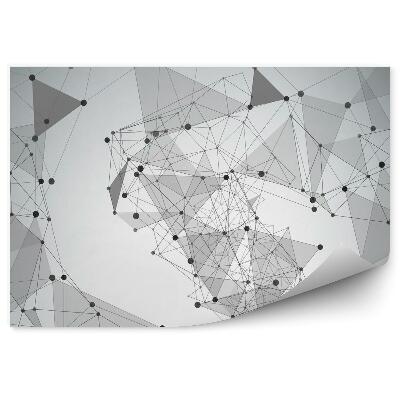 Fototapeta Abstraktní pozadí s body a čarami