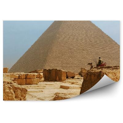 Fototapeta Památky zřícenin pyramid velbloud