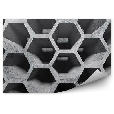 Fototapeta Perspektiva betonových voštin