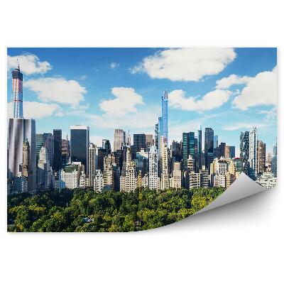 Fototapeta na zeď Mrakodrapy stromy obloha mraky pohled na Central Park New York