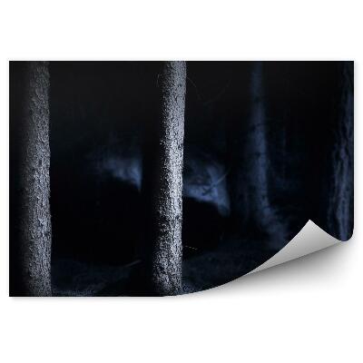 Fototapeta Les v noci