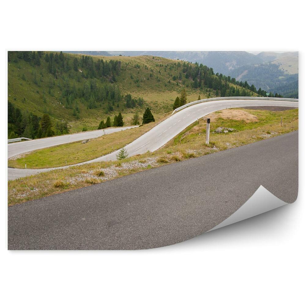 Samolepící fototapeta Silnice jehličnaté stromy hory Alpy