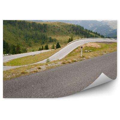 Samolepící fototapeta Silnice jehličnaté stromy hory Alpy