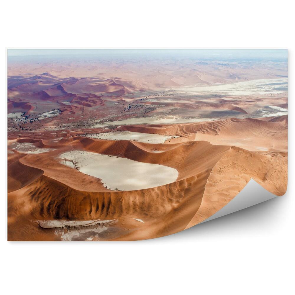 Samolepící fototapeta Poušť Gobi Čína velbloudi nebe