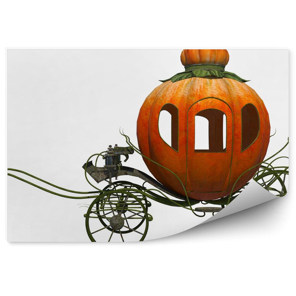 Fototapeta na zeď Kočárová dýně