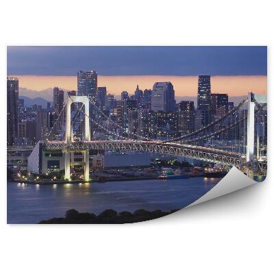 Fototapeta na zeď Pohled z ptačí perspektivy obloha mraky Tokio Japonsko