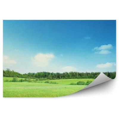 Samolepící fototapeta Tráva pole stromy vegetace