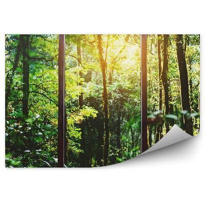 Fototapeta na zeď Velké okno s výhledem na zelený lesní porost