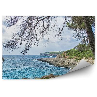 Fototapeta na zeď Krásné divoké tropické mořské pobřeží