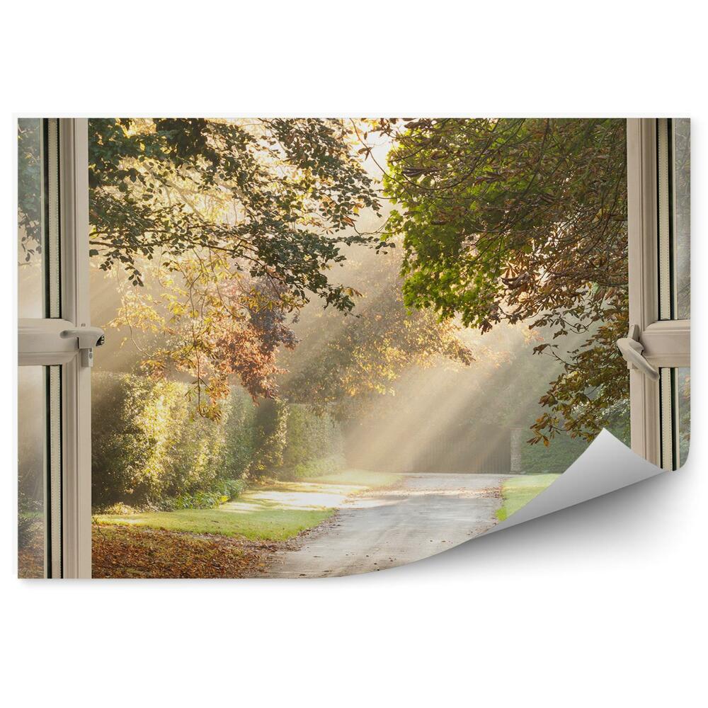 Fototapeta Park za oknem cesta slunce