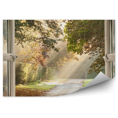 Fototapeta Park za oknem cesta slunce