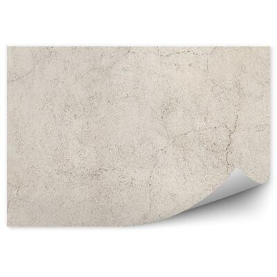 Fototapeta na zeď Vybledlá popraskaná betonová stěna