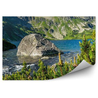 Fototapeta na zeď Údolí 5 jezer Tatry