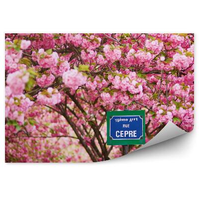 Samolepící fototapeta Paříž ulice znamení kvetoucí třešeň