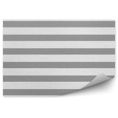 Fototapeta Bílé šedé pruhy