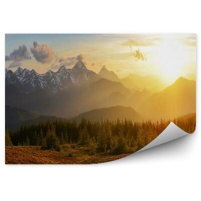 Fototapeta Horský les při východu slunce