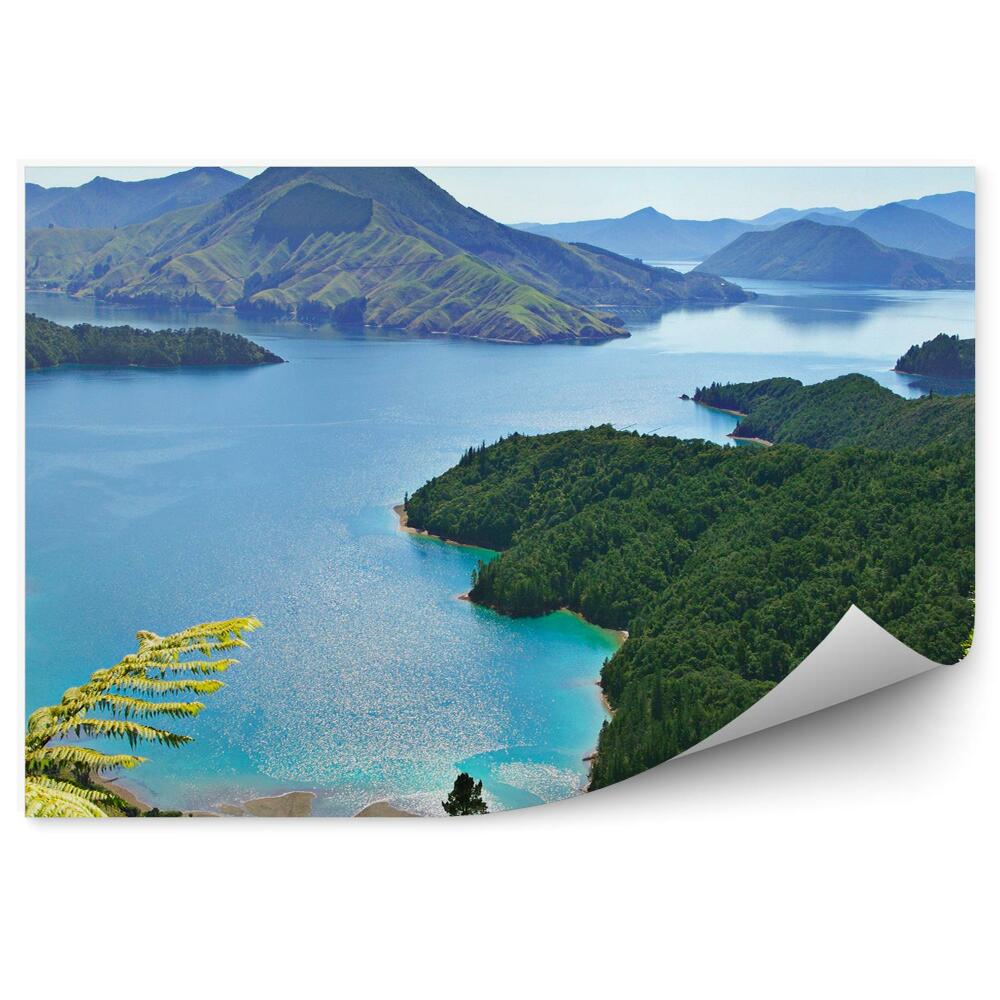 Samolepící fototapeta Hory zelené jehličnaté stromy kapradí oceán nebe mraky Nový Zéland