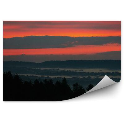 Fototapeta Lesní stromy listy západ slunce