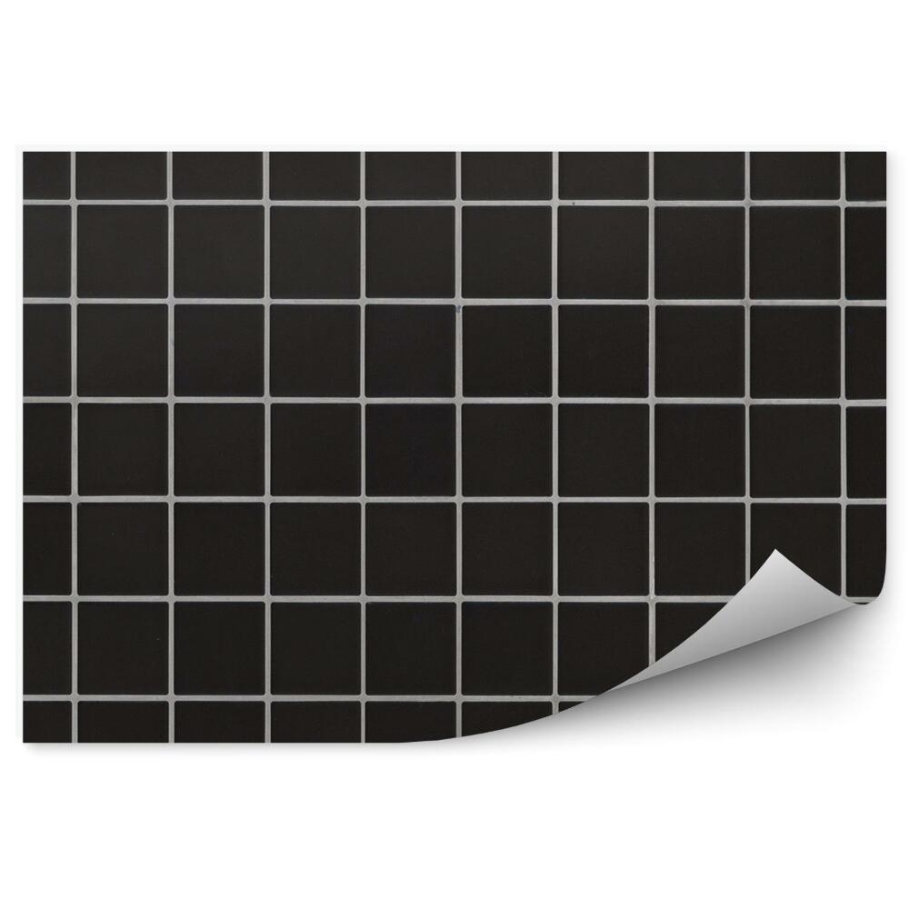 Samolepící fototapeta Černá kostka dlaždice vzor bílá pruhovaná mřížka