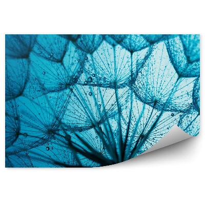 Fototapeta na zeď Modré pozadí