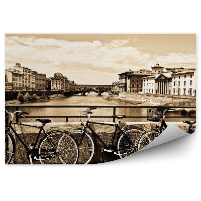 Fototapeta na zeď Tři kola most řeka sépie