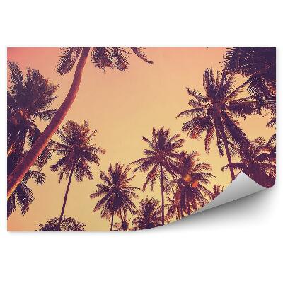 Fototapeta Siluety palem na vintage západ slunce