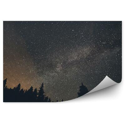 Fototapeta na zeď Mlhoviny hvězdy vesmír galaxie vesmír