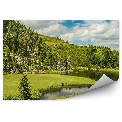 Fototapeta na zeď Alpské jezero hory stromy jehličnaté nebe mraky skály