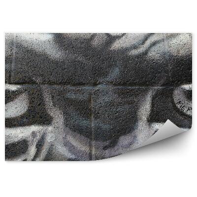 Samolepící fototapeta Opičí oči graffiti