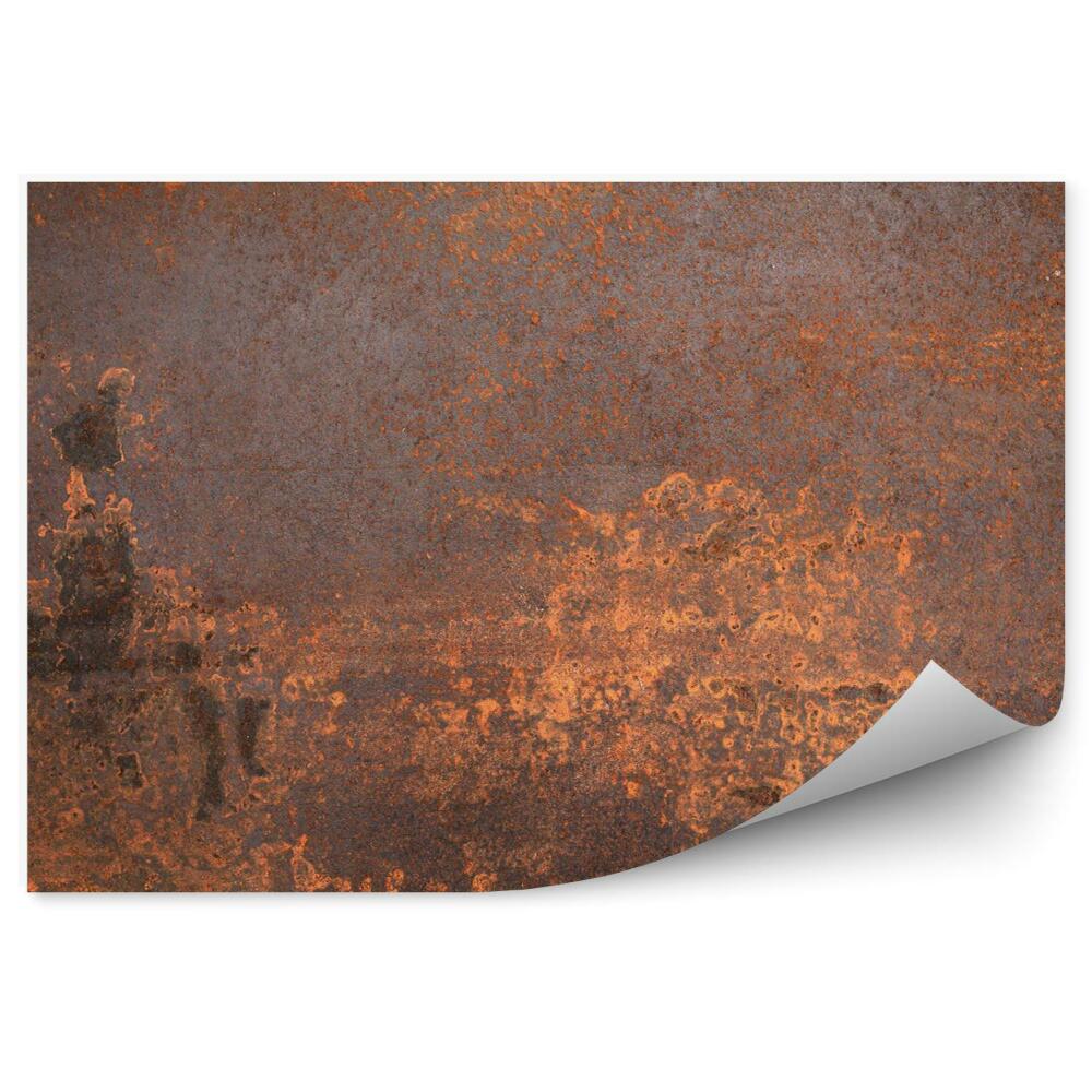 Fototapeta Zrezivělý kov