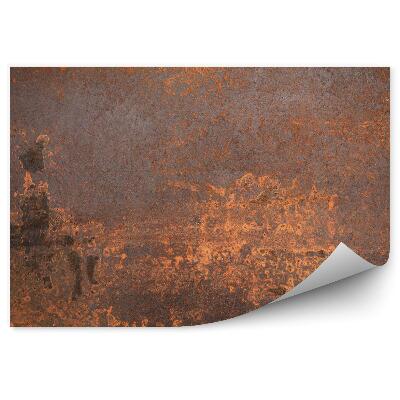 Fototapeta Zrezivělý kov