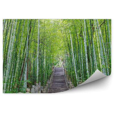 Fototapeta Kamenné schody s bambusovými stromy