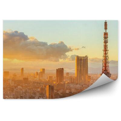 Fototapeta Panoramatický pohled na budovy města Ósaka