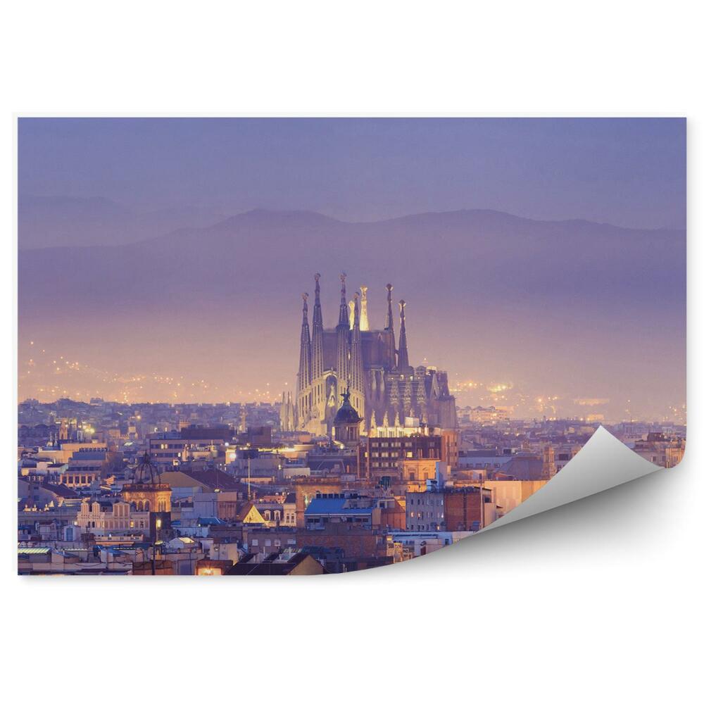 Fototapeta na zeď Barcelonské budovy katedrála noční pohled