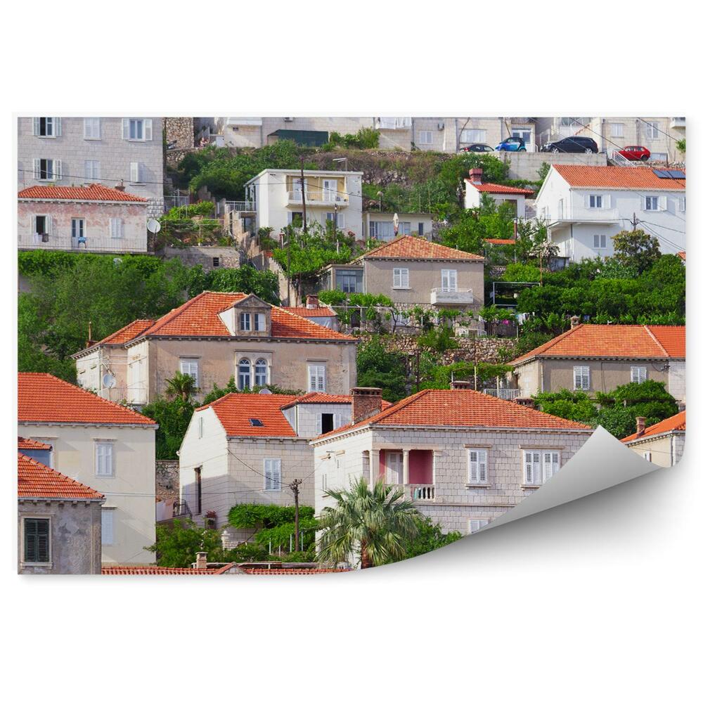 Fototapeta Architektura budovy příroda vegetace