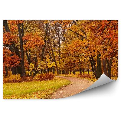 Fototapeta Barevné podzimní park stromy cesta