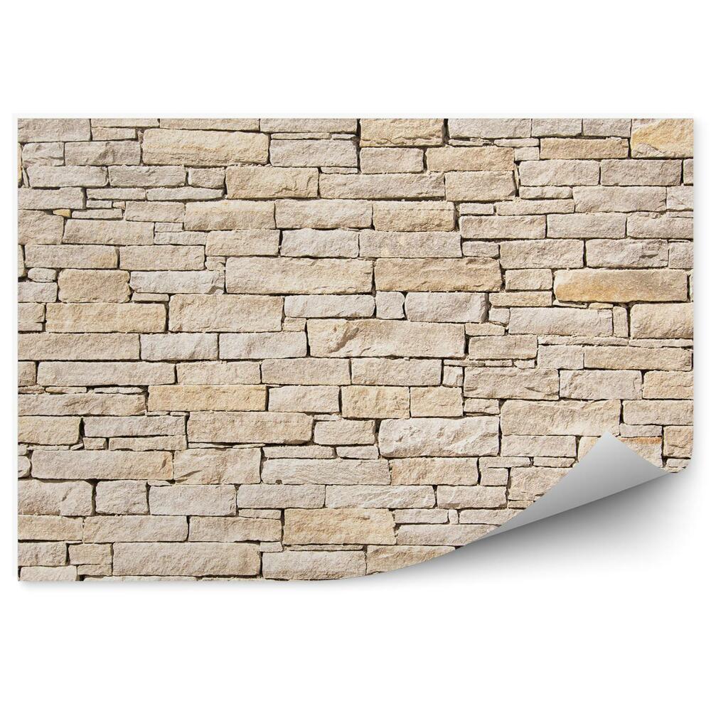 Fototapeta na zeď Pískové cihly