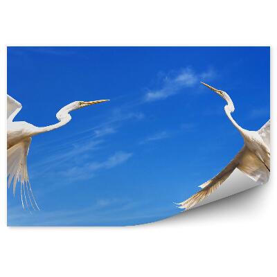 Samolepící fototapeta Dva letící jeřábi na pozadí oblohy