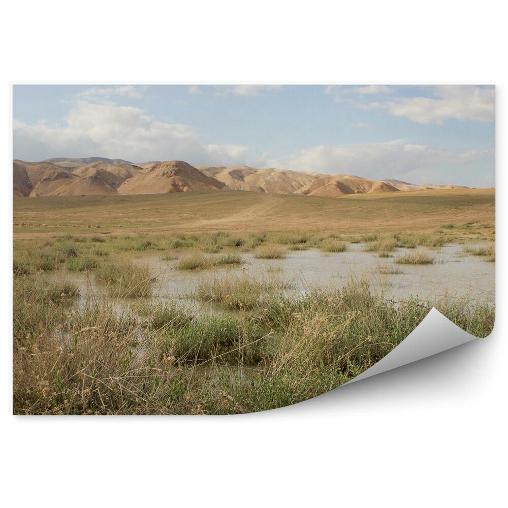 Samolepící fototapeta Skály poušť zelené stromy obloha mraky