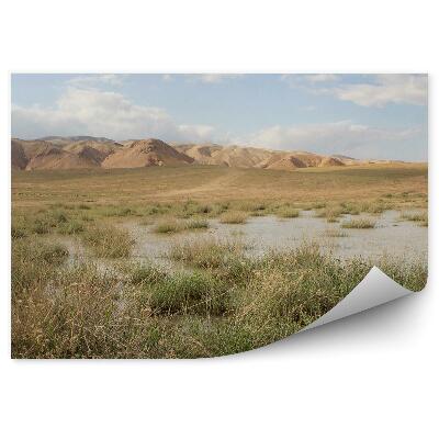 Samolepící fototapeta Skály poušť zelené stromy obloha mraky