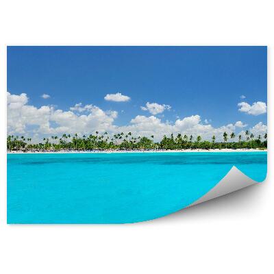 Samolepící fototapeta Oceán tráva pláž muž palmy západ slunce