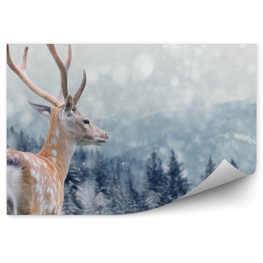 Fototapeta na zeď Zimní les hory jeleni