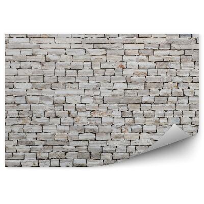 Samolepící fototapeta Kamenná břidlicová zeď