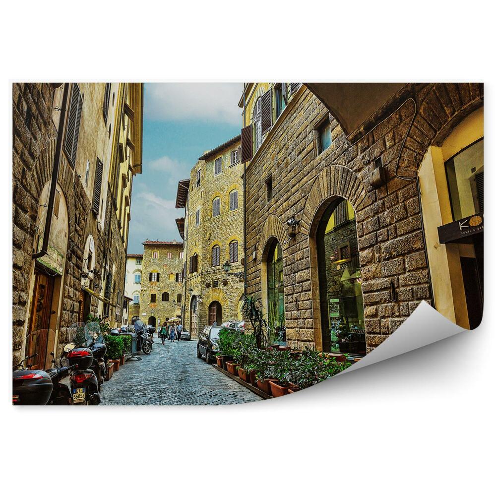 Samolepící fototapeta Staré kamenné budovy zelená vegetace