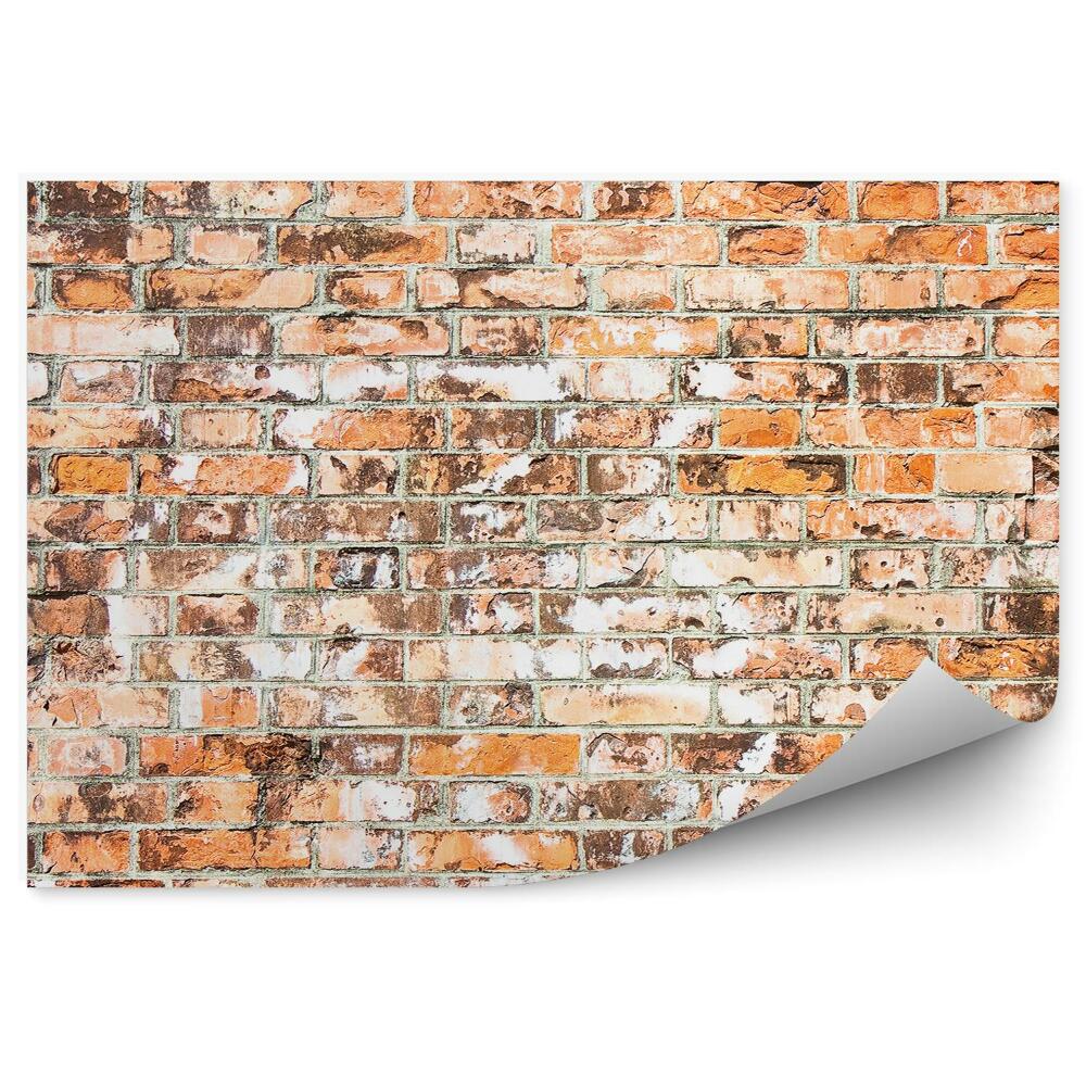 Fototapeta na zeď Stará zeď v Toskánsku