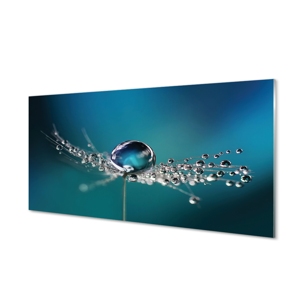 Skleněný obraz Kapky rosy modré pozadí